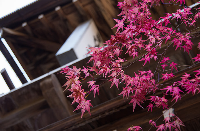 spirited-away-shibu-onsen-momiji-2