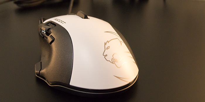 roccat-tyon-review-palm